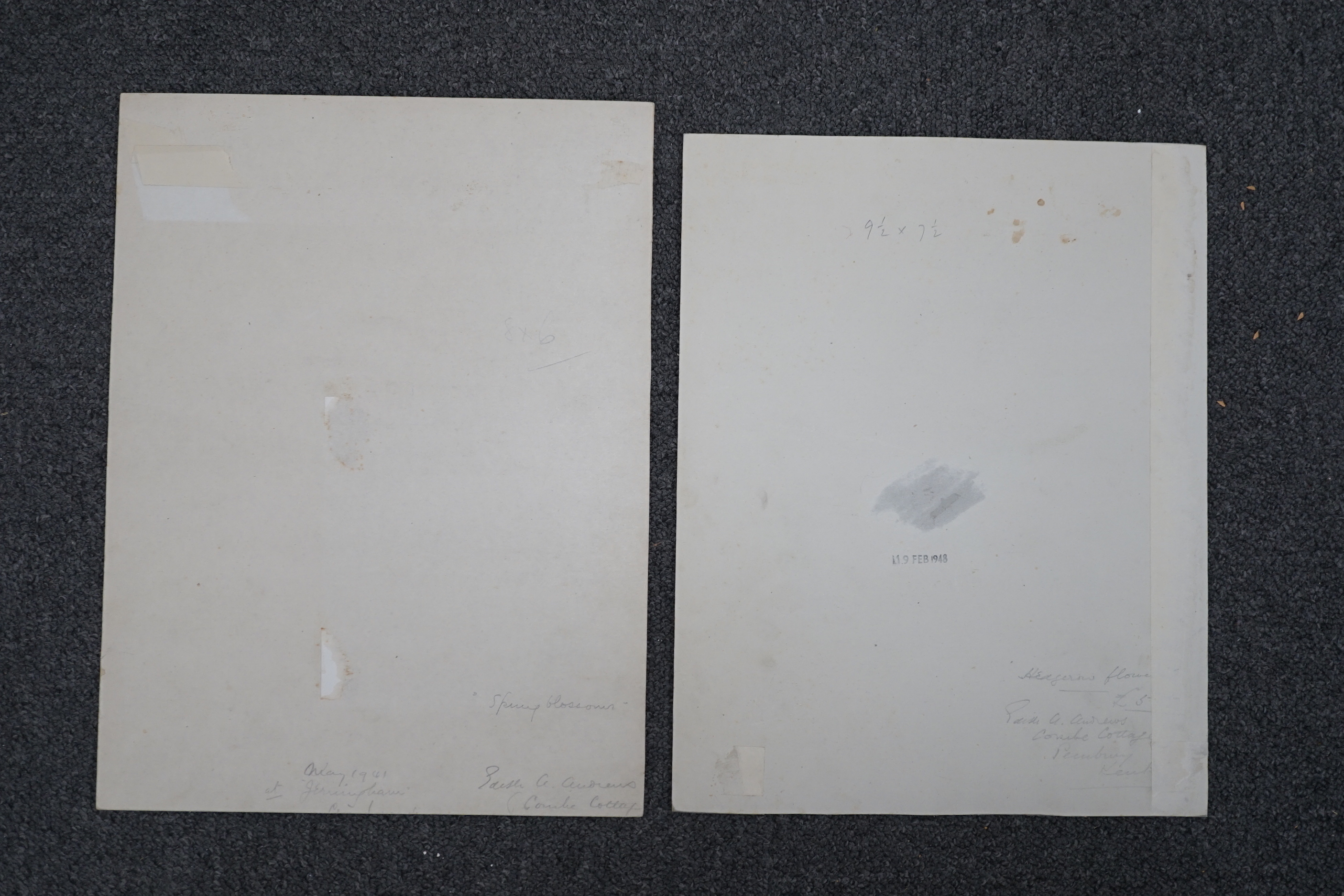 Edith Alice Andrews (Exh. 1900-1940), two watercolour designs for postcards, 'Hedgerow Flowers' and 'Spring Blossoms', signed, largest 36 x 27cm, unframed